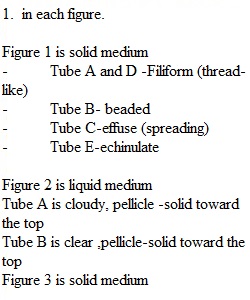 Group work - Aseptic Technique